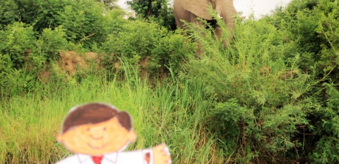 Flat Stanley’s Adventure on the Zambezi River