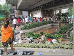 2011_10_20 Flooded Market (7)