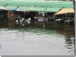 2011_10_20 Flooded Market (9)