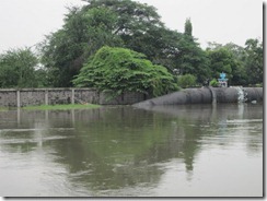 2011_10_20 Swollen Canal (4)