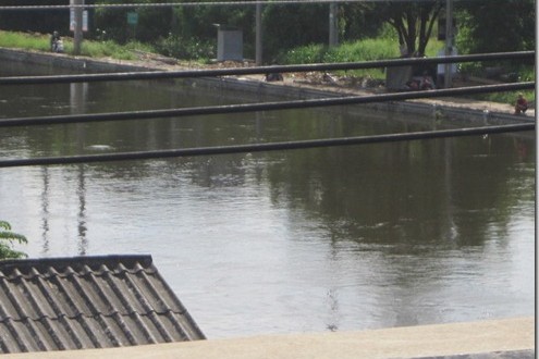 Bangkok Flooding:  Photos of Khlong Prapa and Lak Si