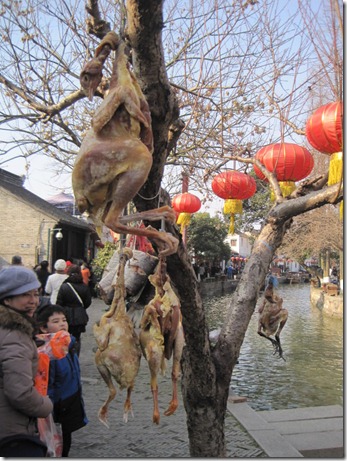 2012_01_26 Zhujiajiao (42)