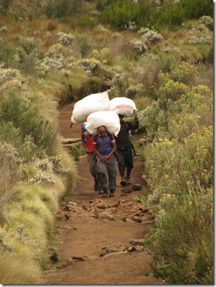 Kili climb902 Kili climb902