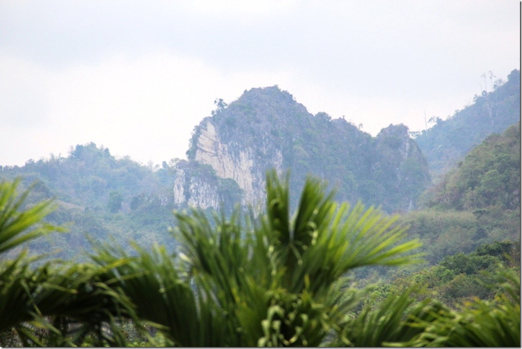 2012_02_17 Khao Yai (10) 2012_02_17 Khao Yai (10)