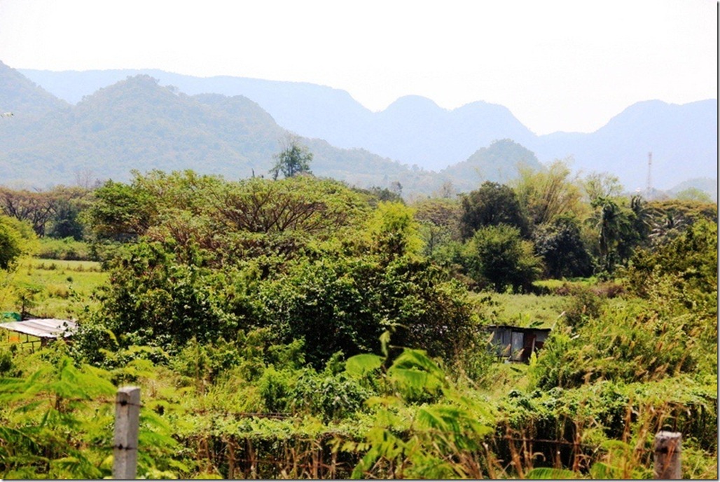 2012_02_17 Khao Yai (31) 2012_02_17 Khao Yai (31)