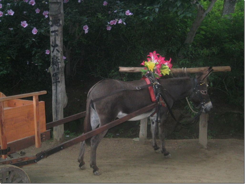 2005_07_15 Korean Folk Village (35)