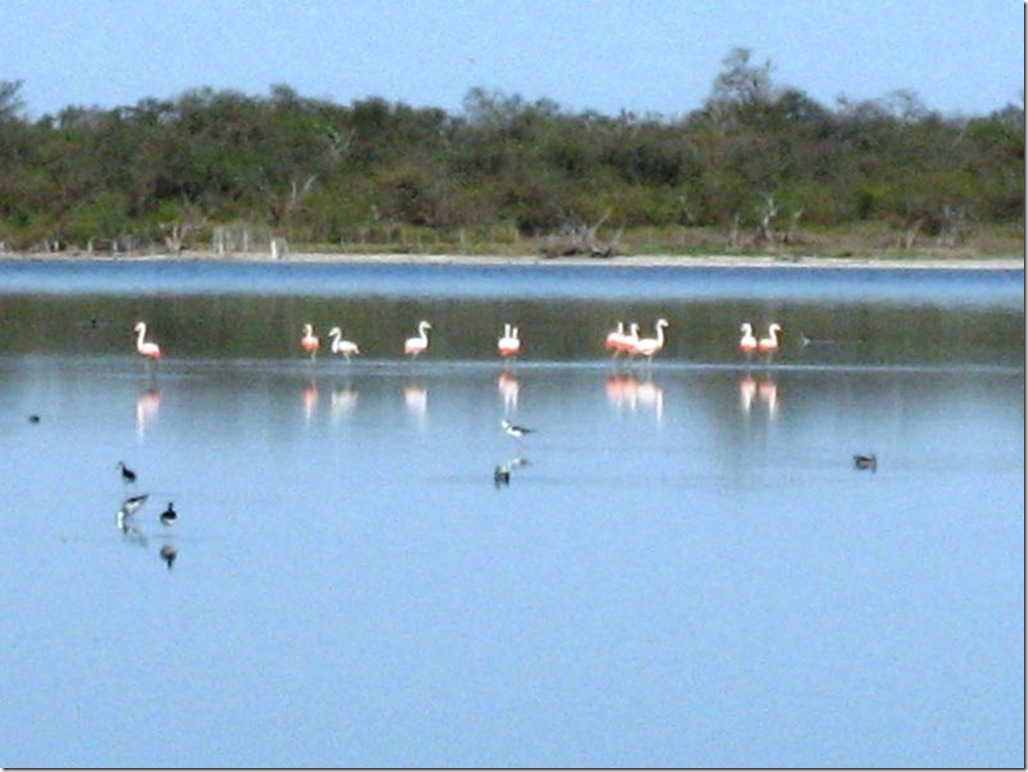 2008_08_31 Paraguay Chaco (19)