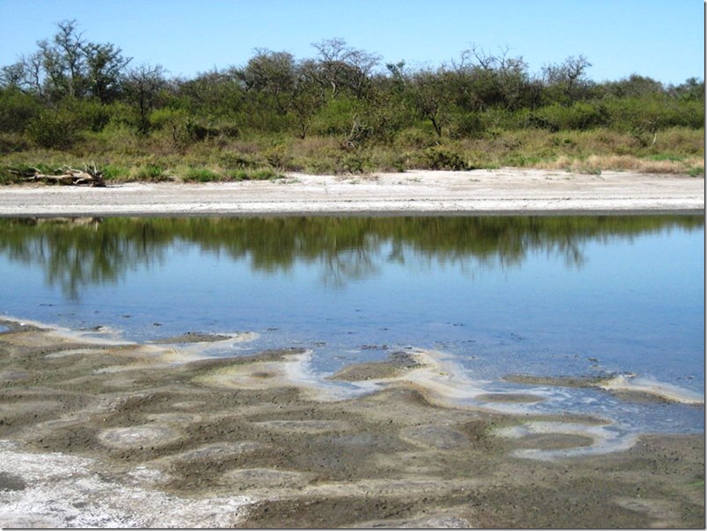 2008_08_31 Paraguay Chaco (20)