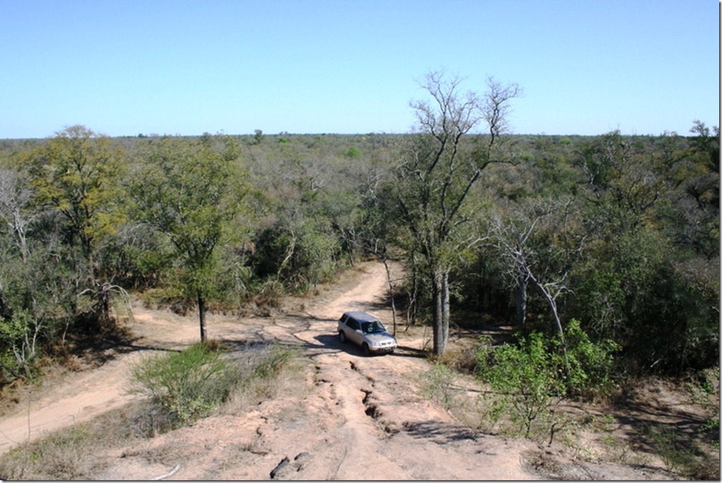 2008_08_31 Paraguay Chaco (28)