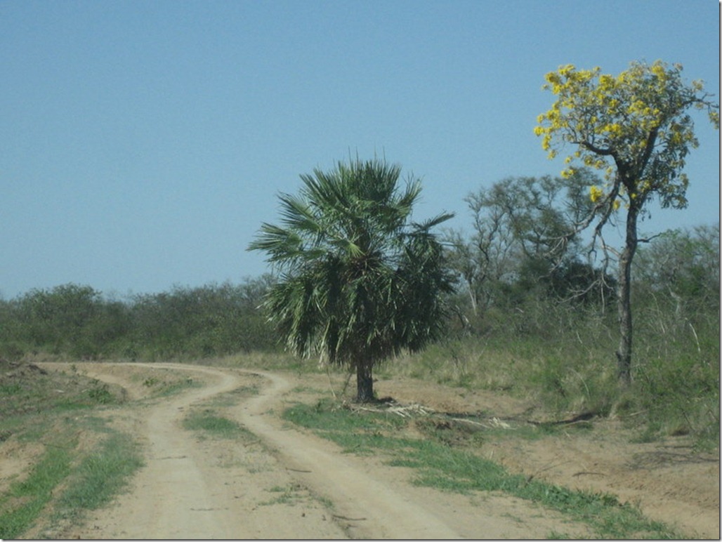 2008_08_31 Paraguay Chaco (38)