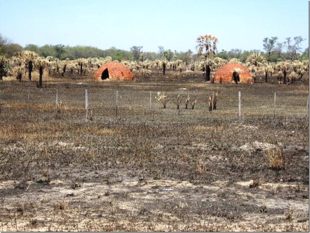 2008_08_31 Paraguay Chaco (44)