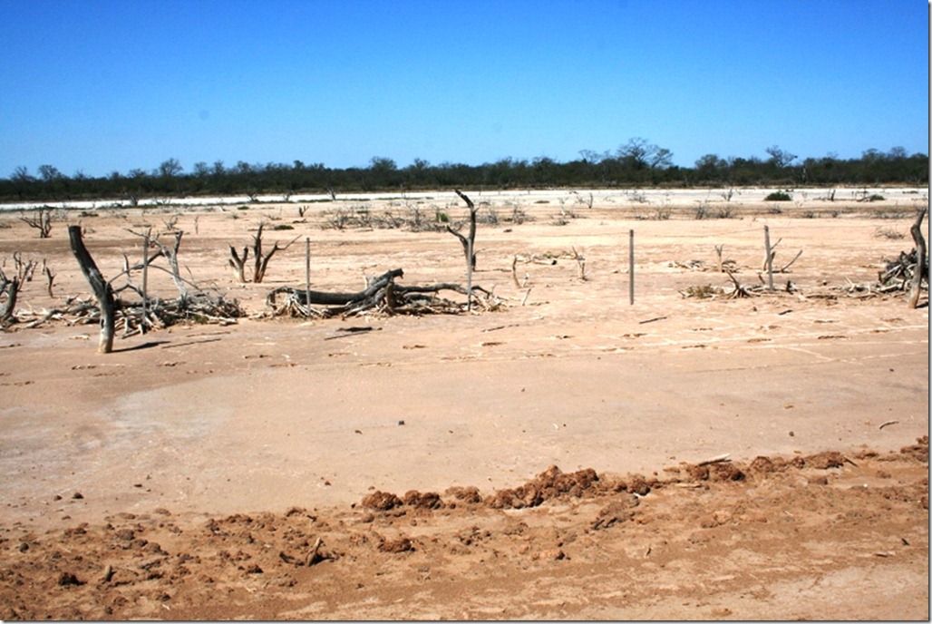 2008_08_31 Paraguay Chaco (59)