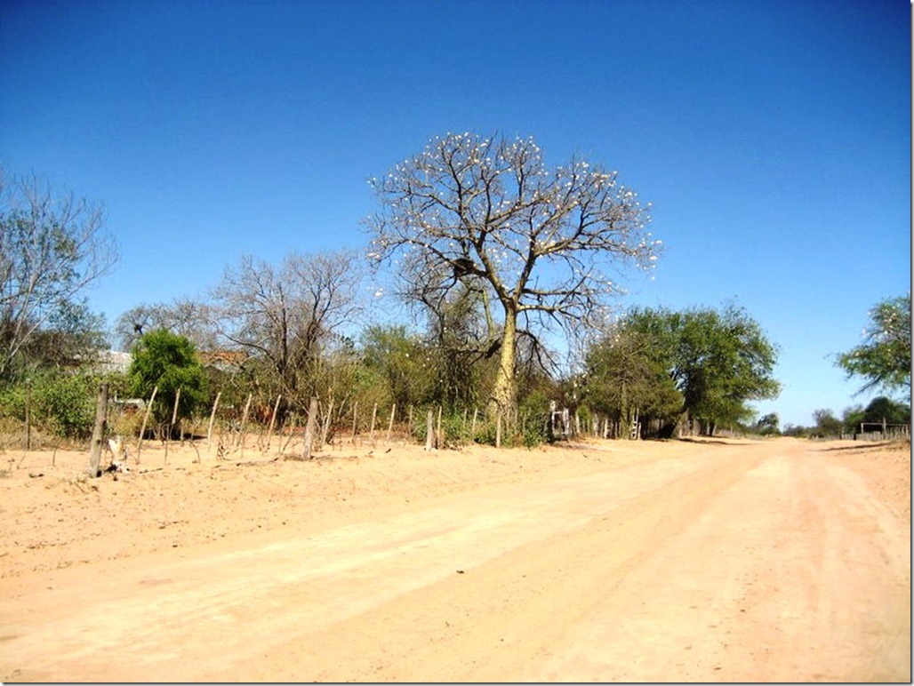 2008_08_31 Paraguay Chaco (6)