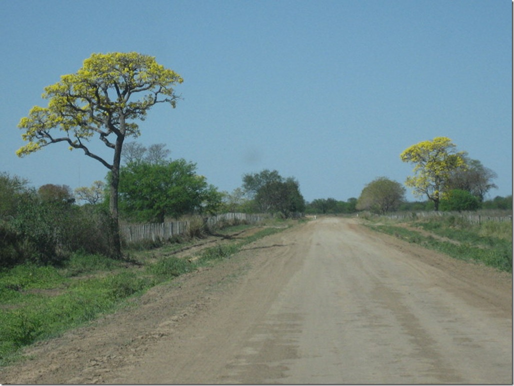 2008_08_31 Paraguay Chaco