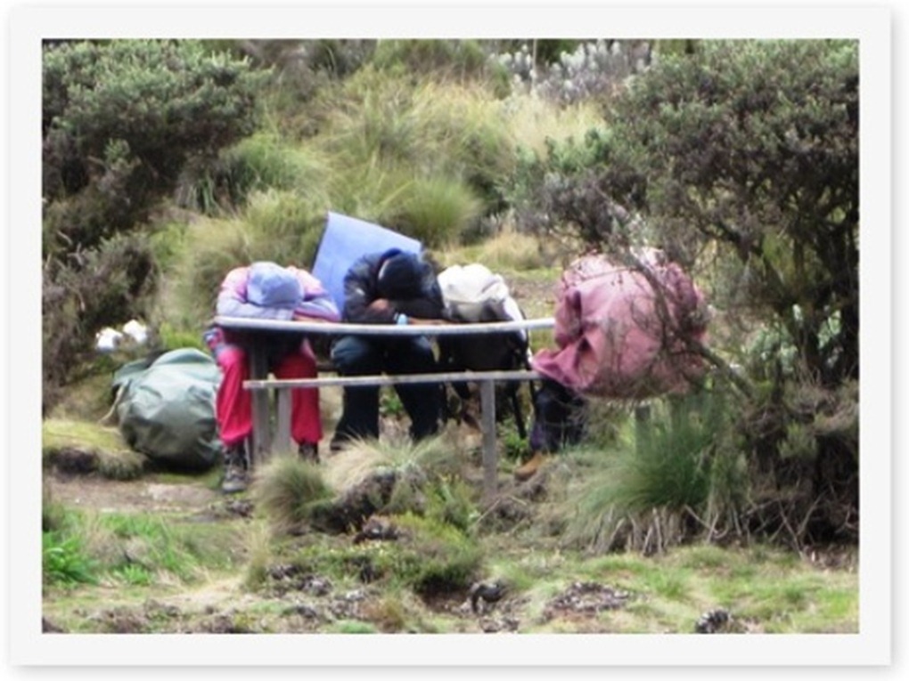 2011_12_29 Kilimanjaro (3)