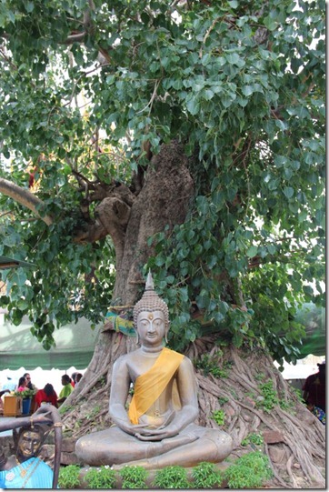 2012_08_11 Ayutthaya (10)