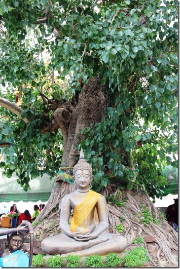2012_08_31 Wat Mahathat (26) 2012_08_31 Wat Mahathat (26)