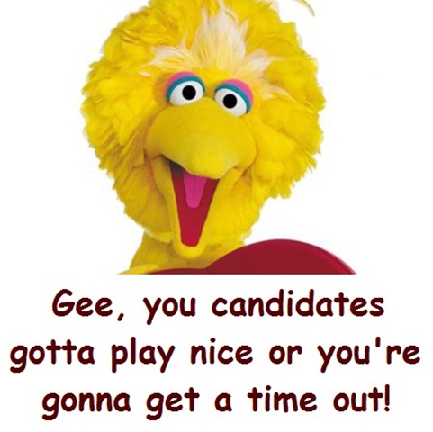 bigbird bigbird