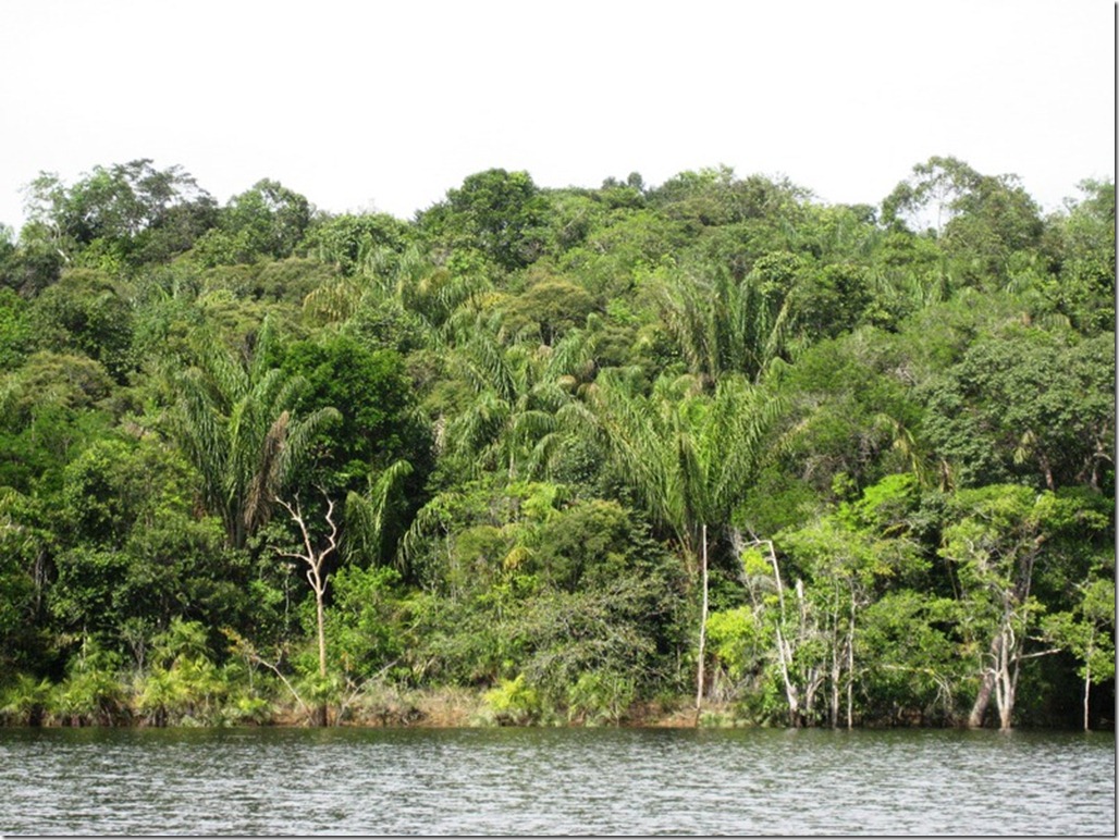 2008_07_17 Brazil Amazon River (8)