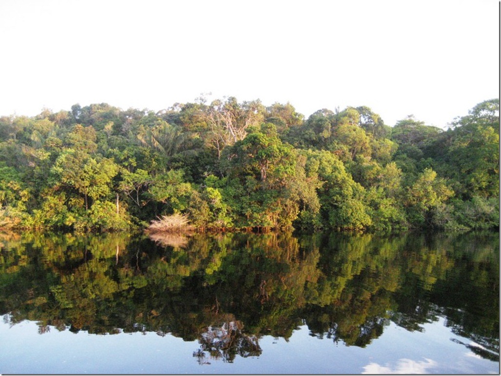 2008_07_17 Brazil Amazon River (9)