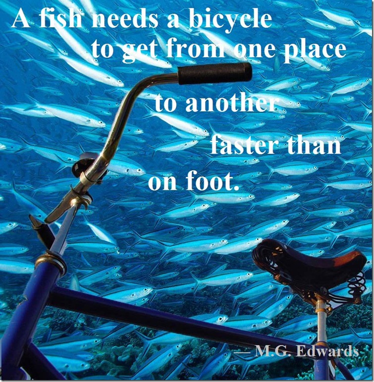 fish bicycle fish bicycle