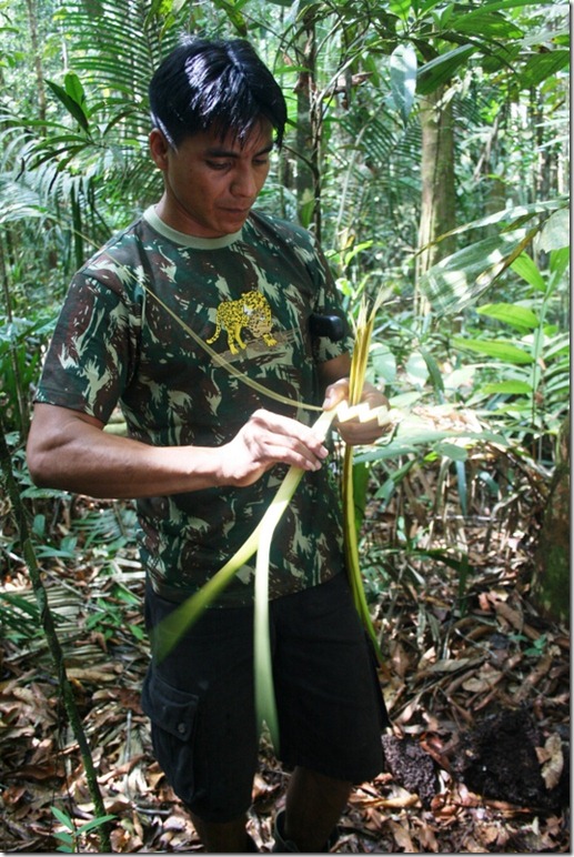 2008_07_08 Brazil Amazon Nature Walk (12)