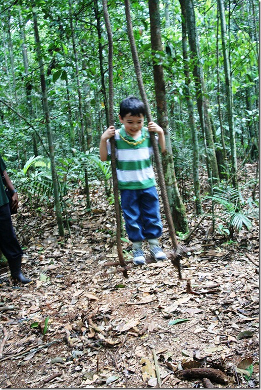 2008_07_08 Brazil Amazon Nature Walk (15)