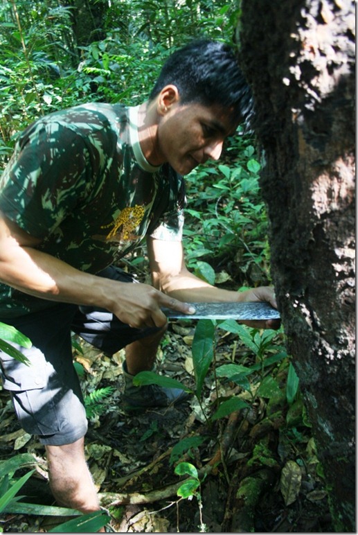 2008_07_08 Brazil Amazon Nature Walk (3)