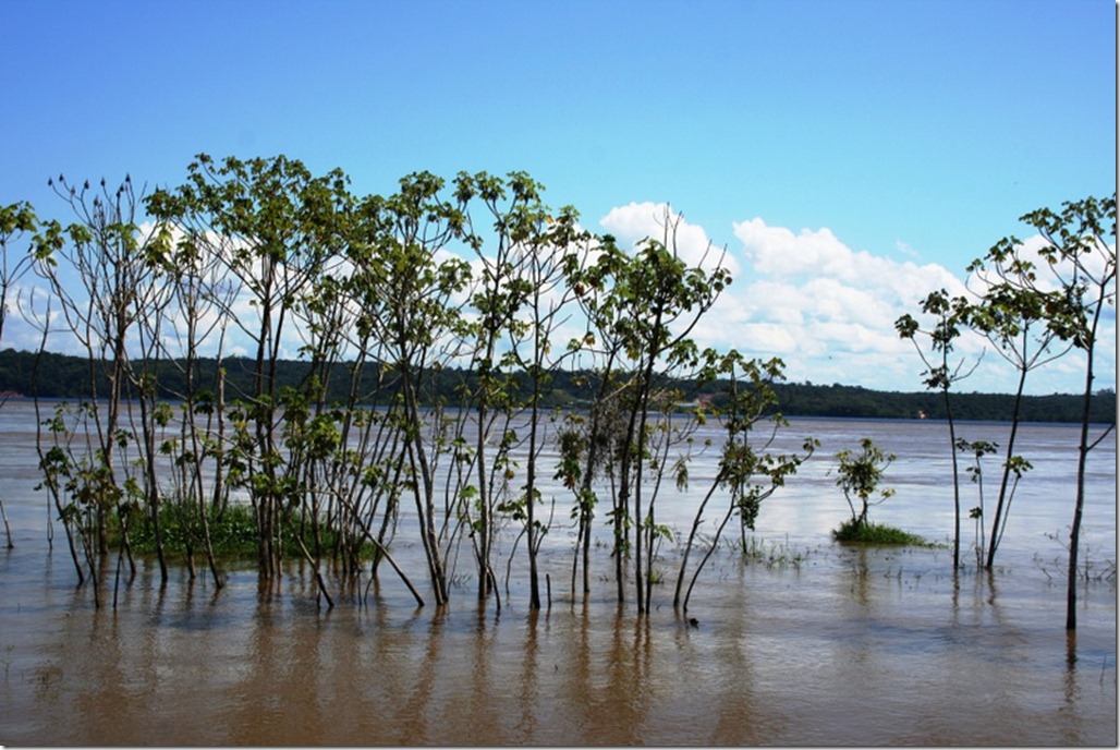 2012_07_20 Brazil Amazon Meeting (10)