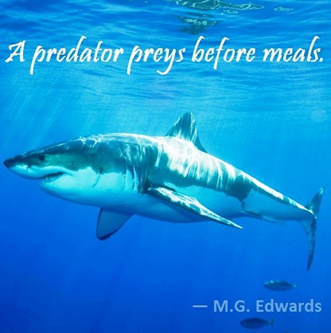 prey prey