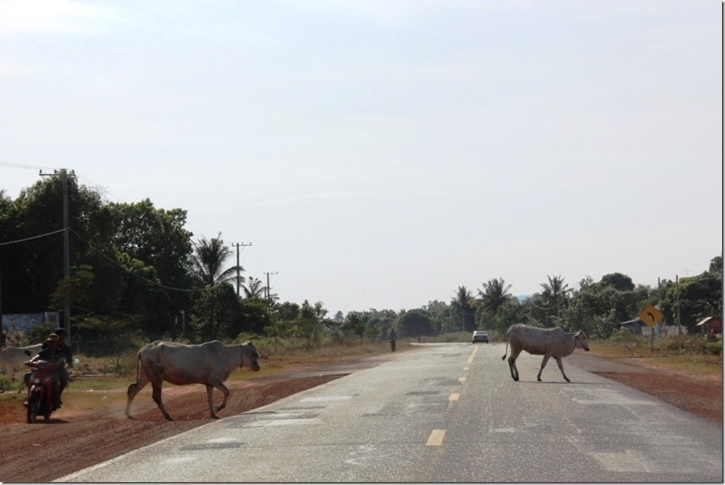 2012_12_31 Cambodia Hwy 4 (6)