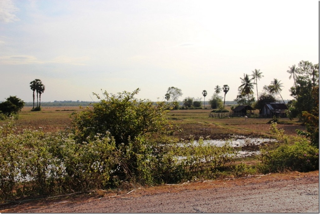 2012_12_31 Cambodia Wilderness (10)