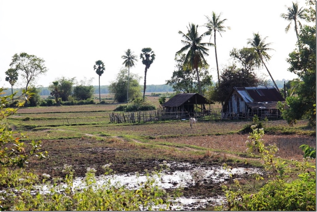 2012_12_31 Cambodia Wilderness (11)