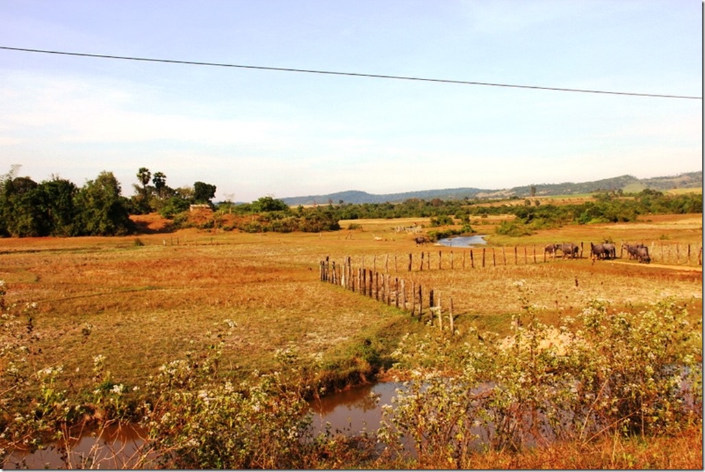 2012_12_31 Cambodia Wilderness (12)