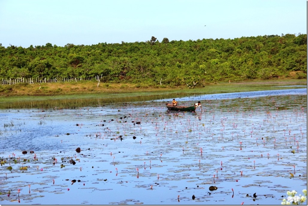 2012_12_31 Cambodia Wilderness (14)