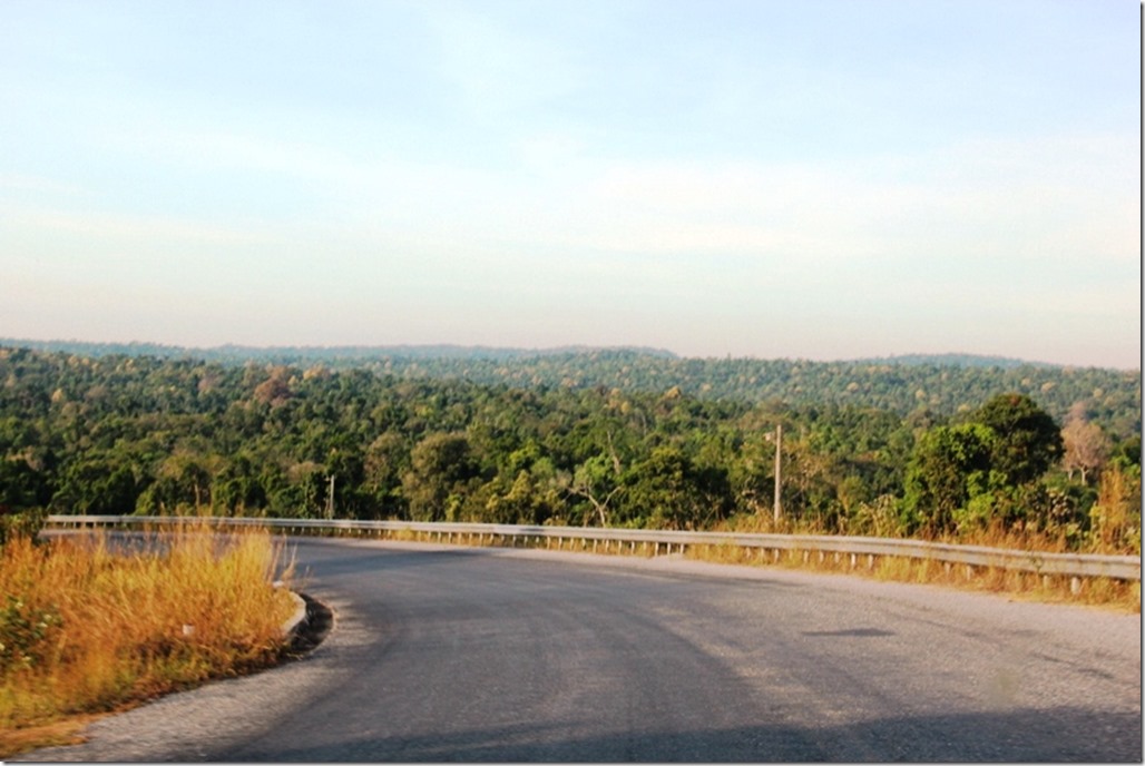 2012_12_31 Cambodia Wilderness (15)