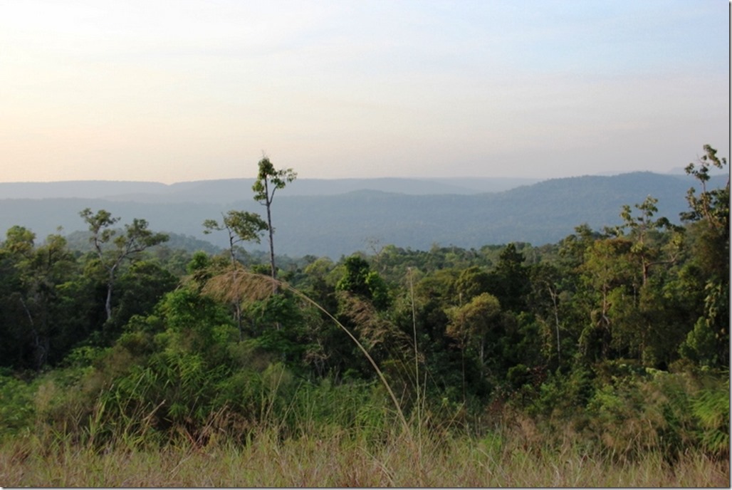 2012_12_31 Cambodia Wilderness (16)