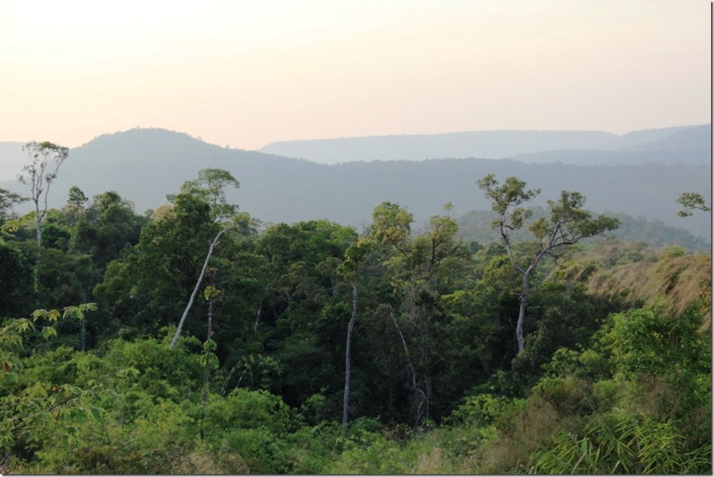 2012_12_31 Cambodia Wilderness (17)