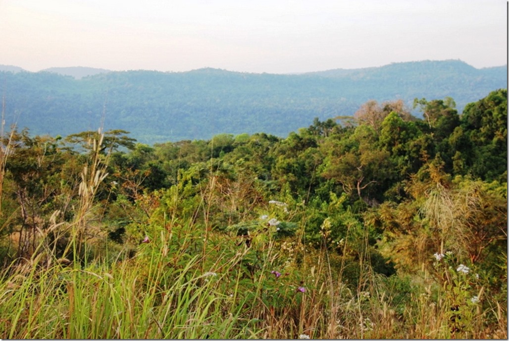 2012_12_31 Cambodia Wilderness (18)