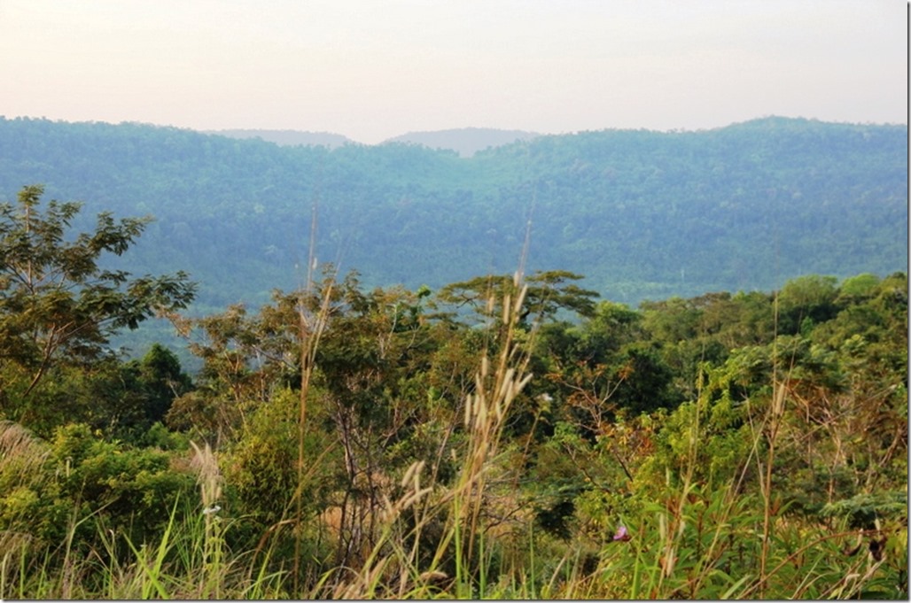 2012_12_31 Cambodia Wilderness (19)