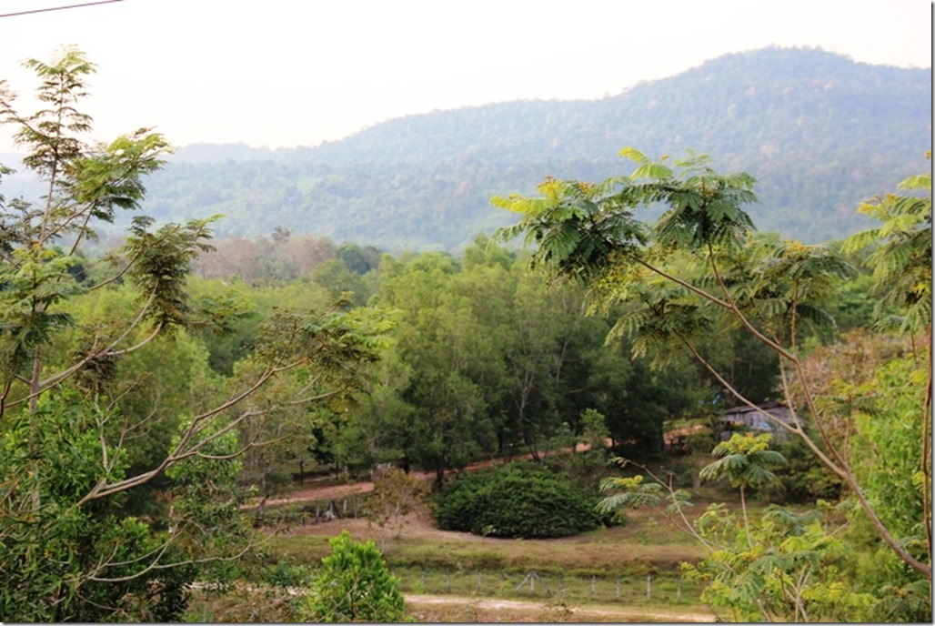 2012_12_31 Cambodia Wilderness (20)