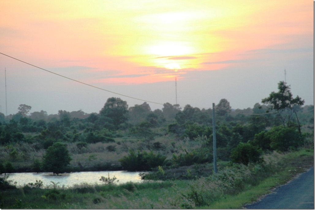 2012_12_31 Cambodia Wilderness (26)