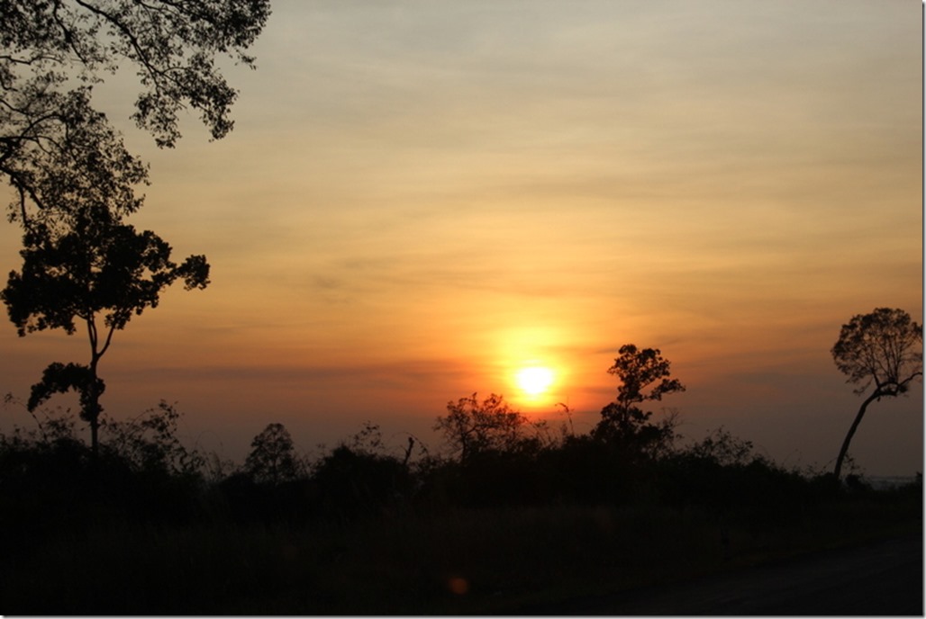 2012_12_31 Cambodia Wilderness (28)