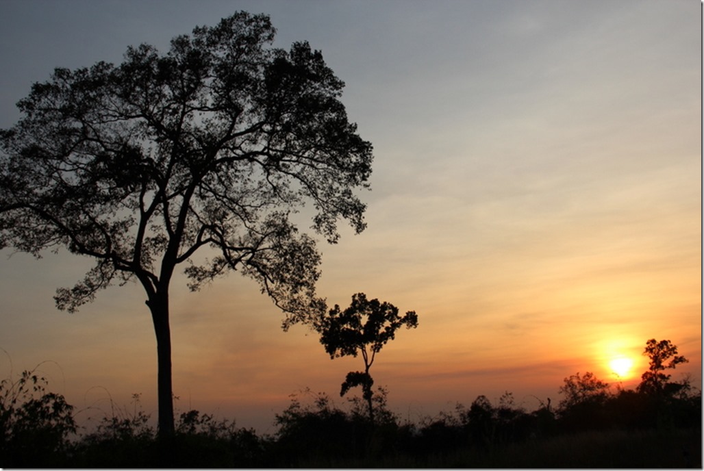 2012_12_31 Cambodia Wilderness (29)