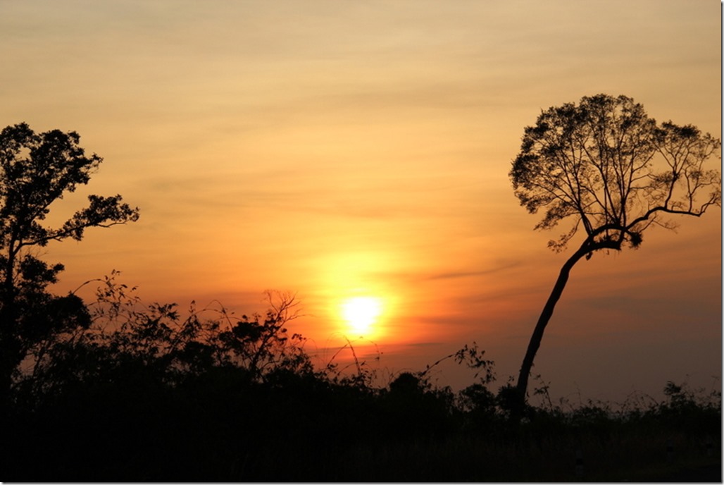 2012_12_31 Cambodia Wilderness (30)