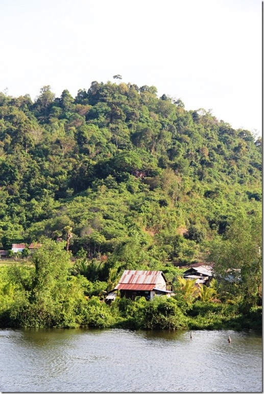 2012_12_31 Cambodia Wilderness (4)