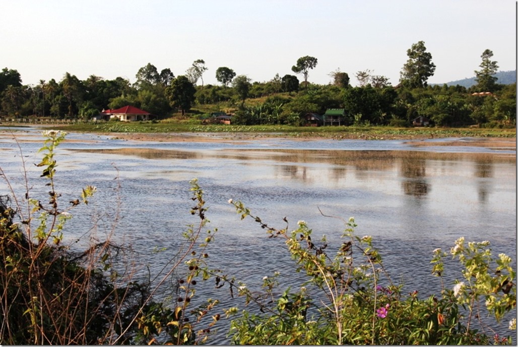 2012_12_31 Cambodia Wilderness (5)