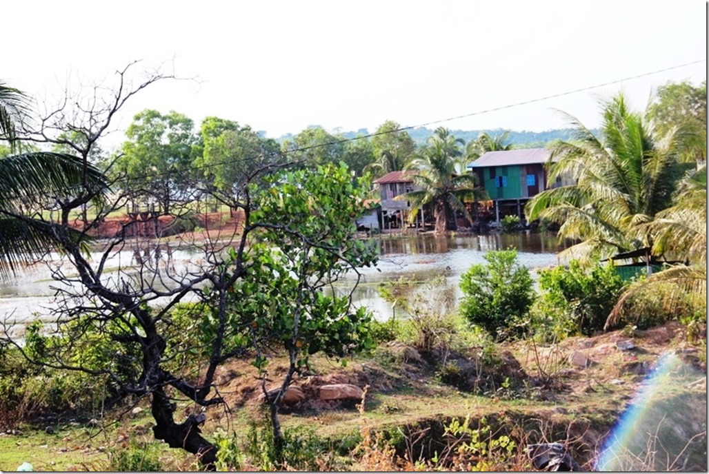 2012_12_31 Cambodia Wilderness (6)