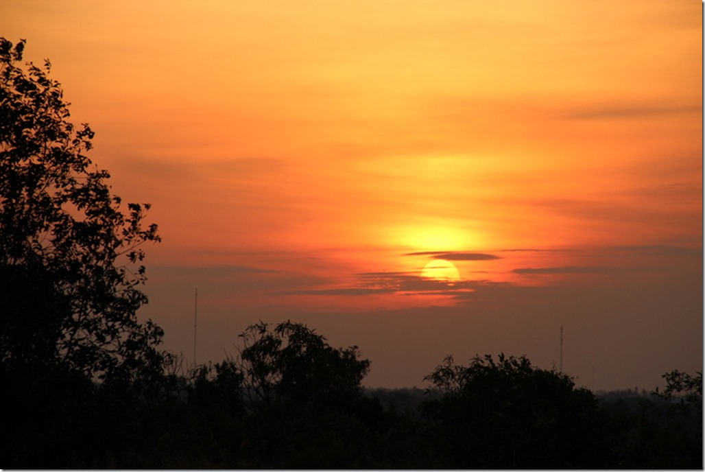 2012_12_31 Cambodia Wilderness