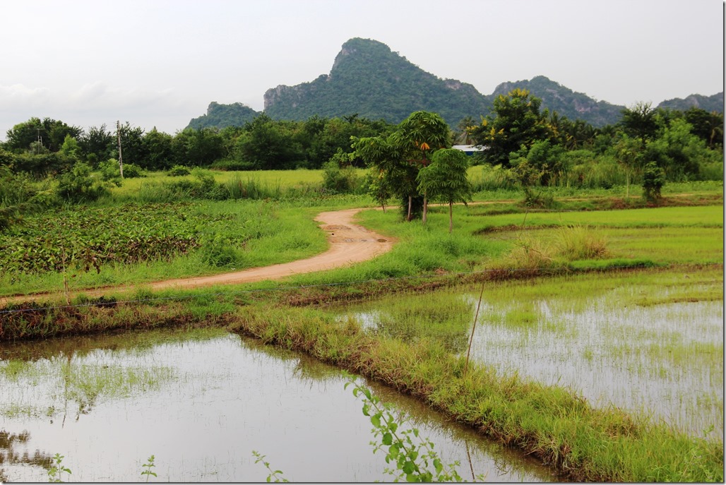 2012_09_15 Thailand Hua Hin Countryside (1)